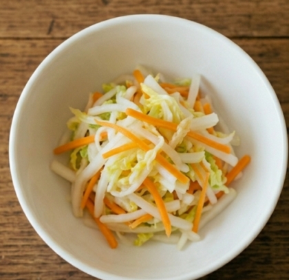 白菜と人参のあっさり漬物