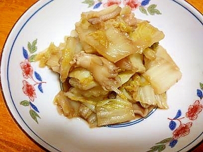 白菜の　中華煮