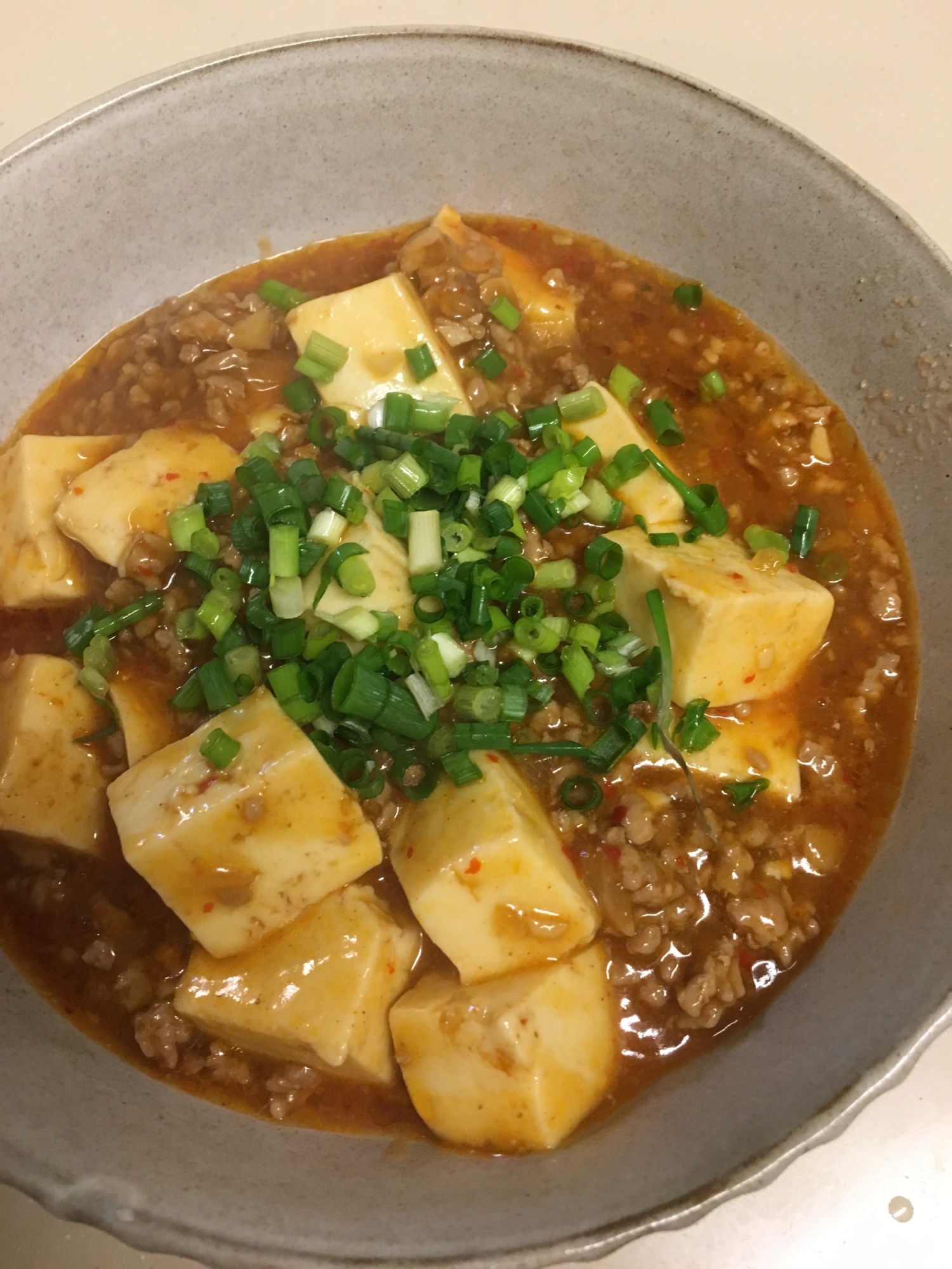 褒められ大人の麻婆豆腐