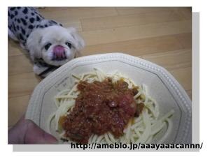 わんこごはん ミートソーススパゲッティ レシピ 作り方 By ayaaacannn 楽天レシピ