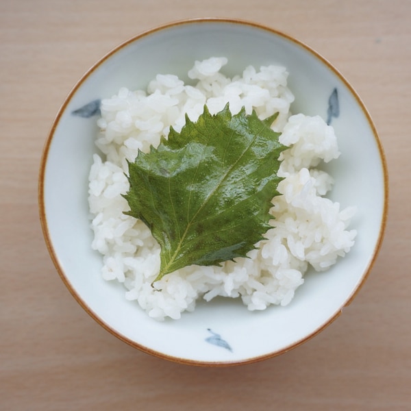 大葉を大量消費 黄金比率 5分で完成する大葉漬け レシピ 作り方 By どめさん 楽天レシピ 大葉を大量消費 黄金比率 5分で完成する大葉漬け レシピ 作り方 By どめさん 楽天レシピ