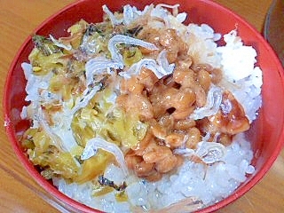 納豆と高菜とじゃこのお茶漬け