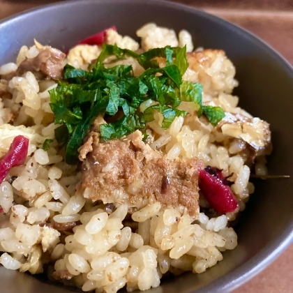 鯖缶で感嘆する簡単さ！さば缶と梅干しの炊き込みご飯