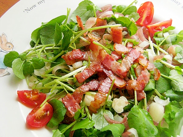 フレンチシェフ直伝!簡単クレソンサラダ♪(茗荷他)