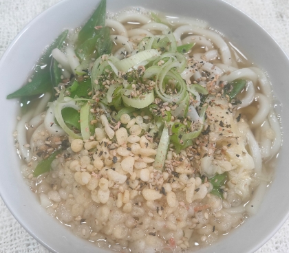 沼地たぬきうどん
