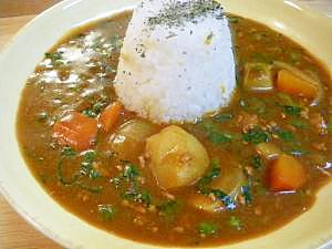 ほうれん草カレー