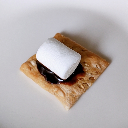 クラッカーにチョコとマシュマロ、とても美味しかったです(*^-^*)
ご馳走様でした♪