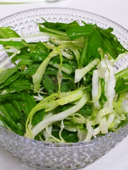 レタスと水菜のシンプルサラダ