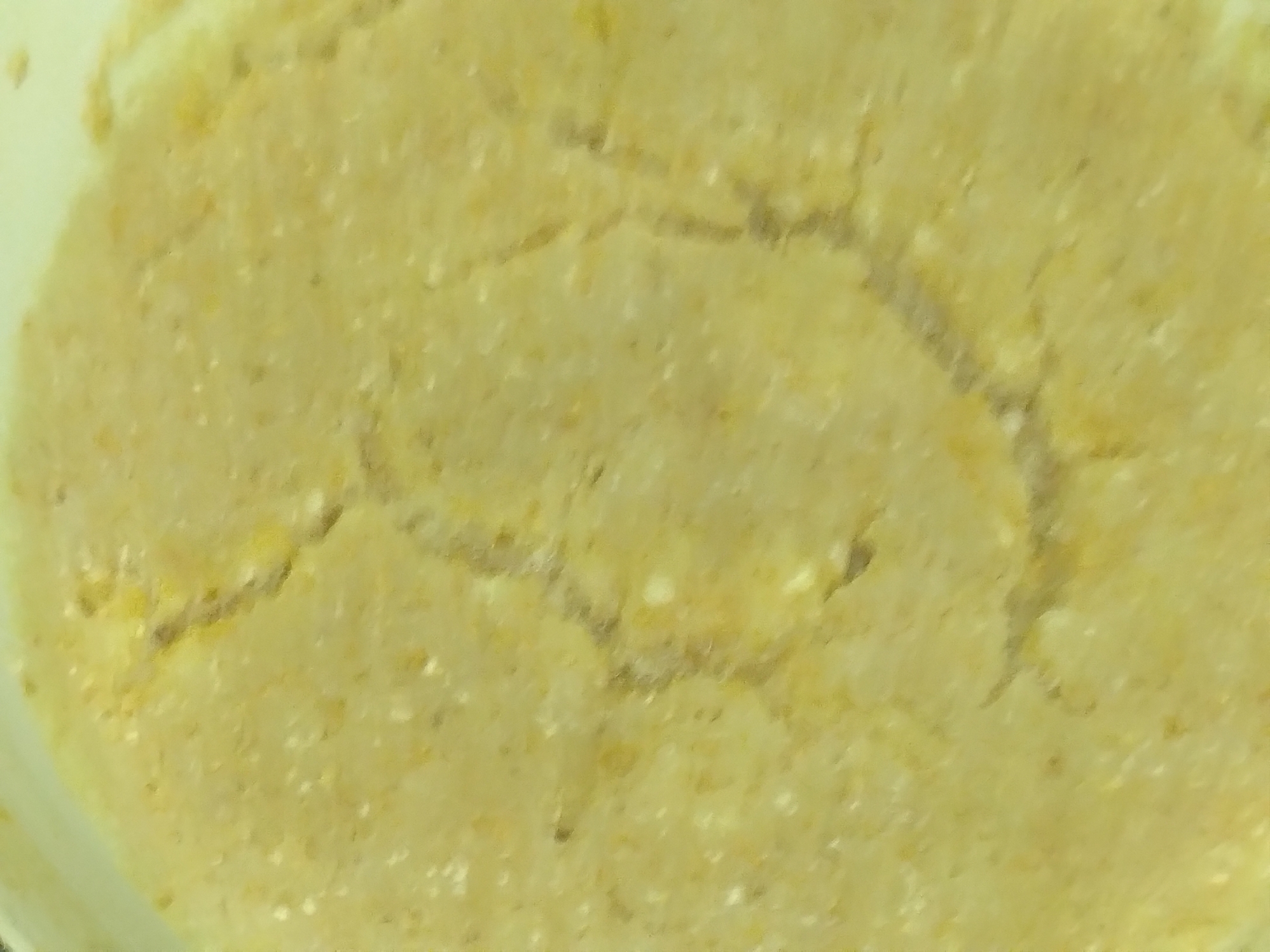 リスドォル生おからパン用全粒粉蒸しパン