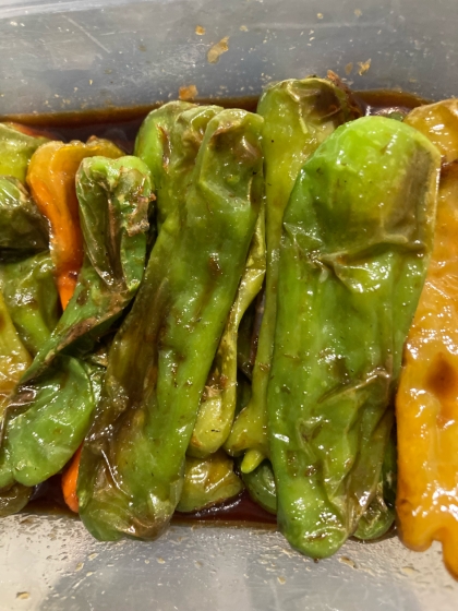 シンプルだけど箸が止まらない☆ししとうの焼き浸し♪