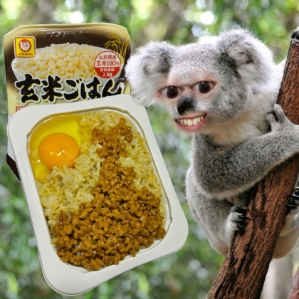 納豆たまごかけごはん