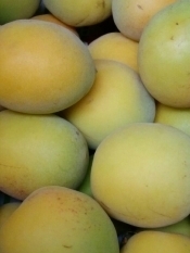 塩分18 手作り白梅干 紫蘇なし梅干し レシピ 作り方 By キャロット キャンディ 楽天レシピ 塩分18 手作り白梅干 紫蘇なし梅干し レシピ 作り方 By キャロット キャンディ 楽天レシピ