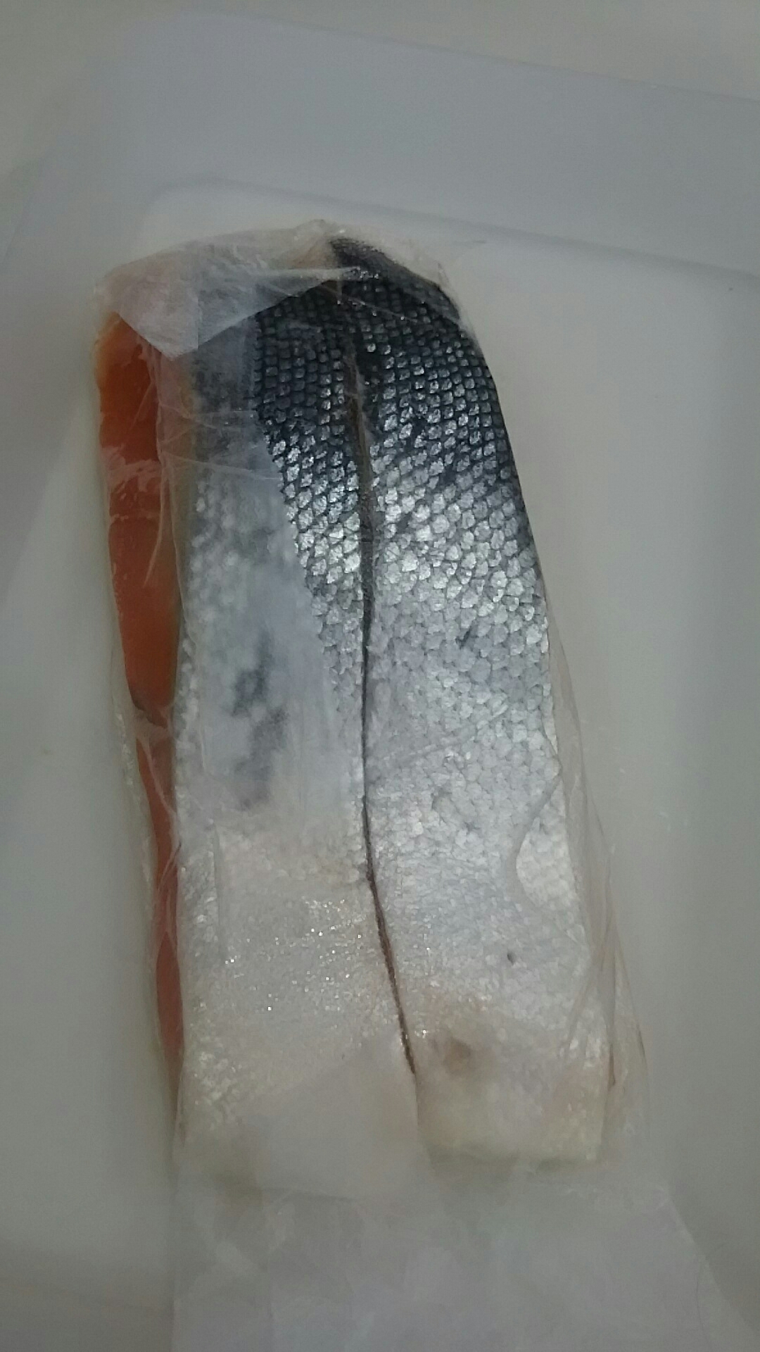 鮭を冷凍保存