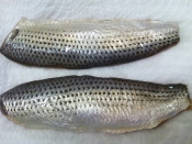 コノシロの酢漬け レシピ 作り方 By おおら 楽天レシピ コノシロの酢漬け レシピ 作り方 By おおら 楽天レシピ