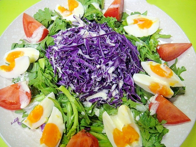 ゆで卵と春菊紫キャベツのサラダ