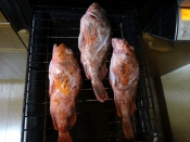 ちょっと高級感 カサゴの塩焼き レシピ 作り方 By Startrek 楽天レシピ ちょっと高級感 カサゴの塩焼き レシピ 作り方 By Startrek 楽天レシピ