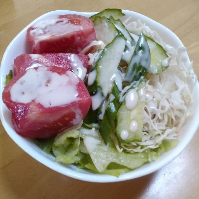 キャベツ・胡瓜・レタス・トマトのサラダ