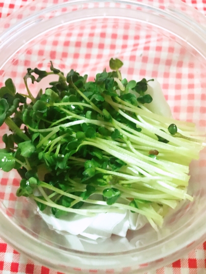 貝割れ大根の保存方法 レシピ 作り方 By じゃが塩 楽天レシピ 貝割れ大根の保存方法 レシピ 作り方 By じゃが塩 楽天レシピ