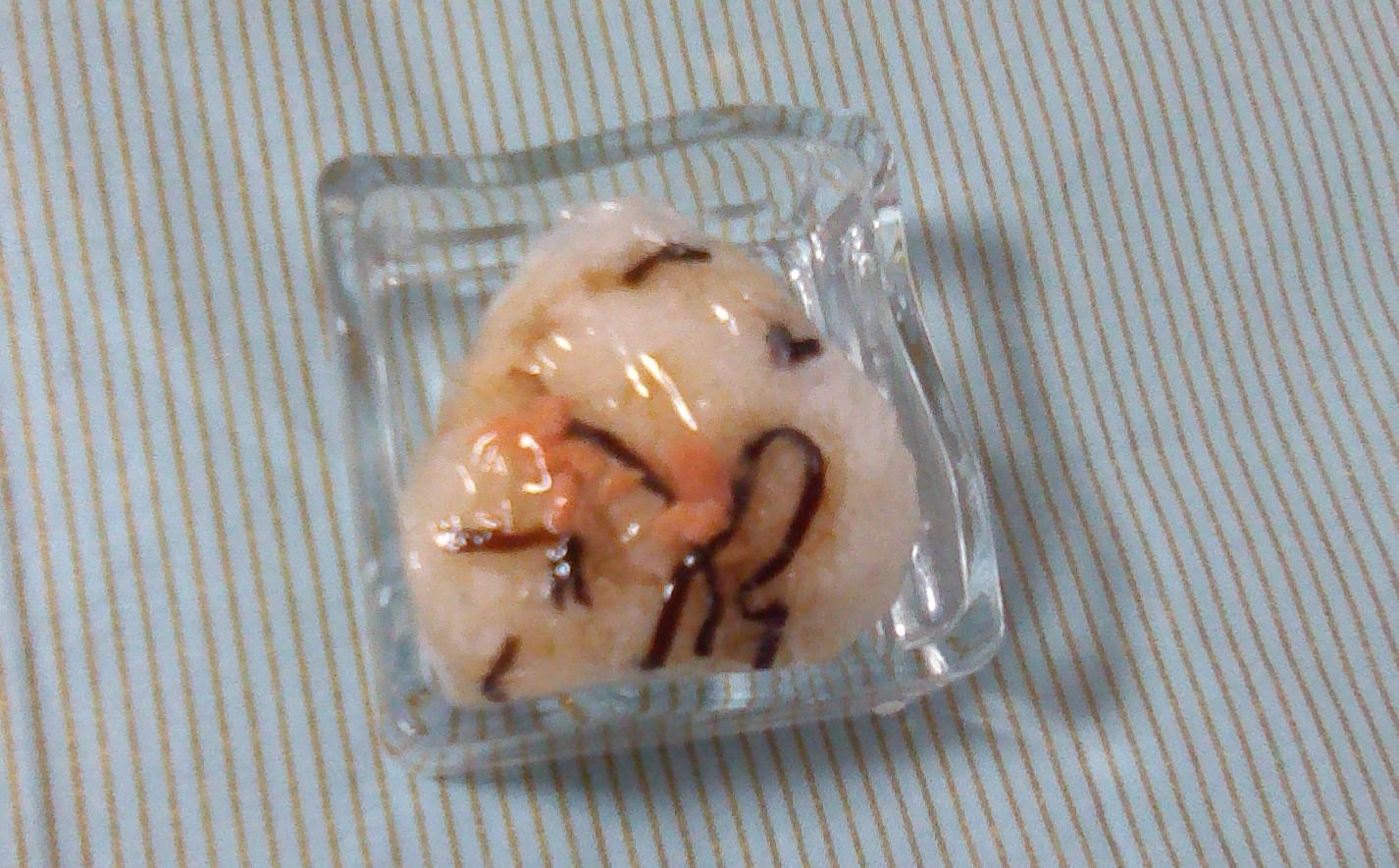 鮭と塩昆布のおかかおにぎり