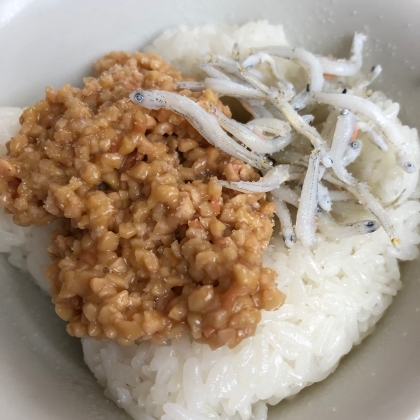 汚さず　ひきわり納豆を作る方法