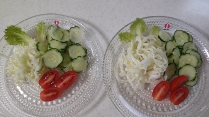 火を使わない～✨野菜たっぷり丼✨ご飯や蕎麦うどんに