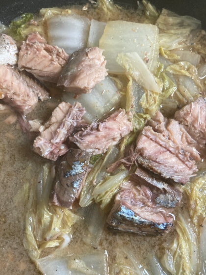 少ない材料でほったらかしでできて、クタクタに煮込んだ白菜と鯖の風味がとても美味しい1品になりました！水溶き片栗粉入れて丼にしても良さそうです♪またリピします！