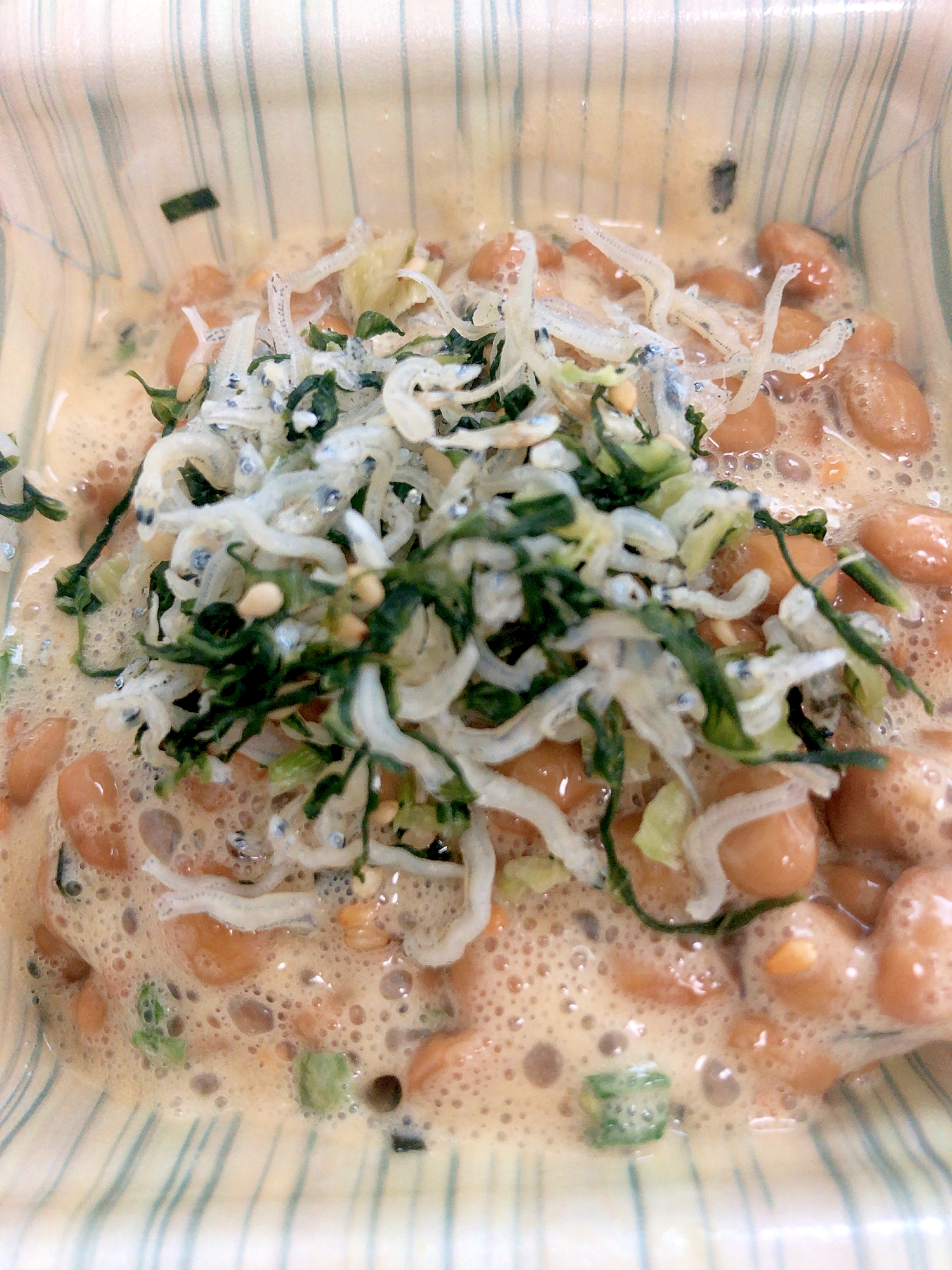 野沢菜チリメンジャコ納豆