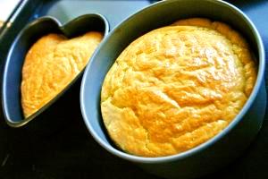 ワンコと一緒に食べられるクリスマスケーキ