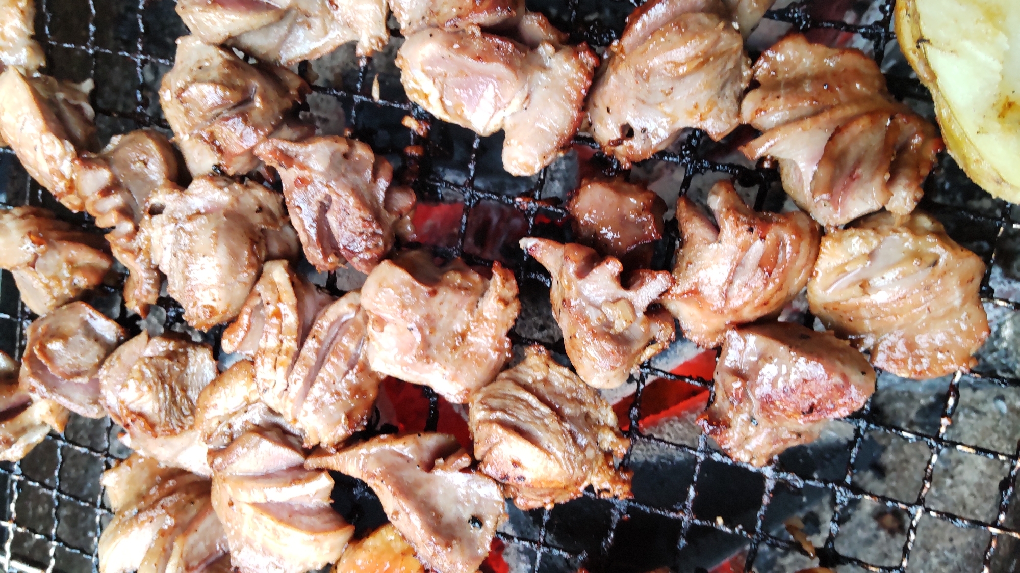BBQにお勧め　砂肝のネギ塩レモン焼き