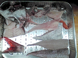 Dwllxvzl2phrym Dwllxvzl2phrym