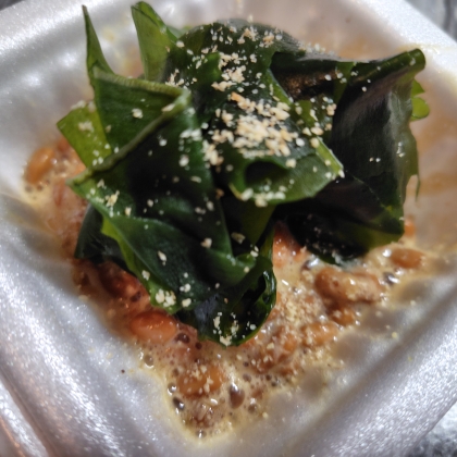 はじゃじゃさん こんにちは♬
昨日のおつまみに♡
ちょっとわかめ盛りすぎたー！
わかめと納豆って合うんですね〜とっても美味しくいただきました(๑>ڡ<๑)ᕷ*