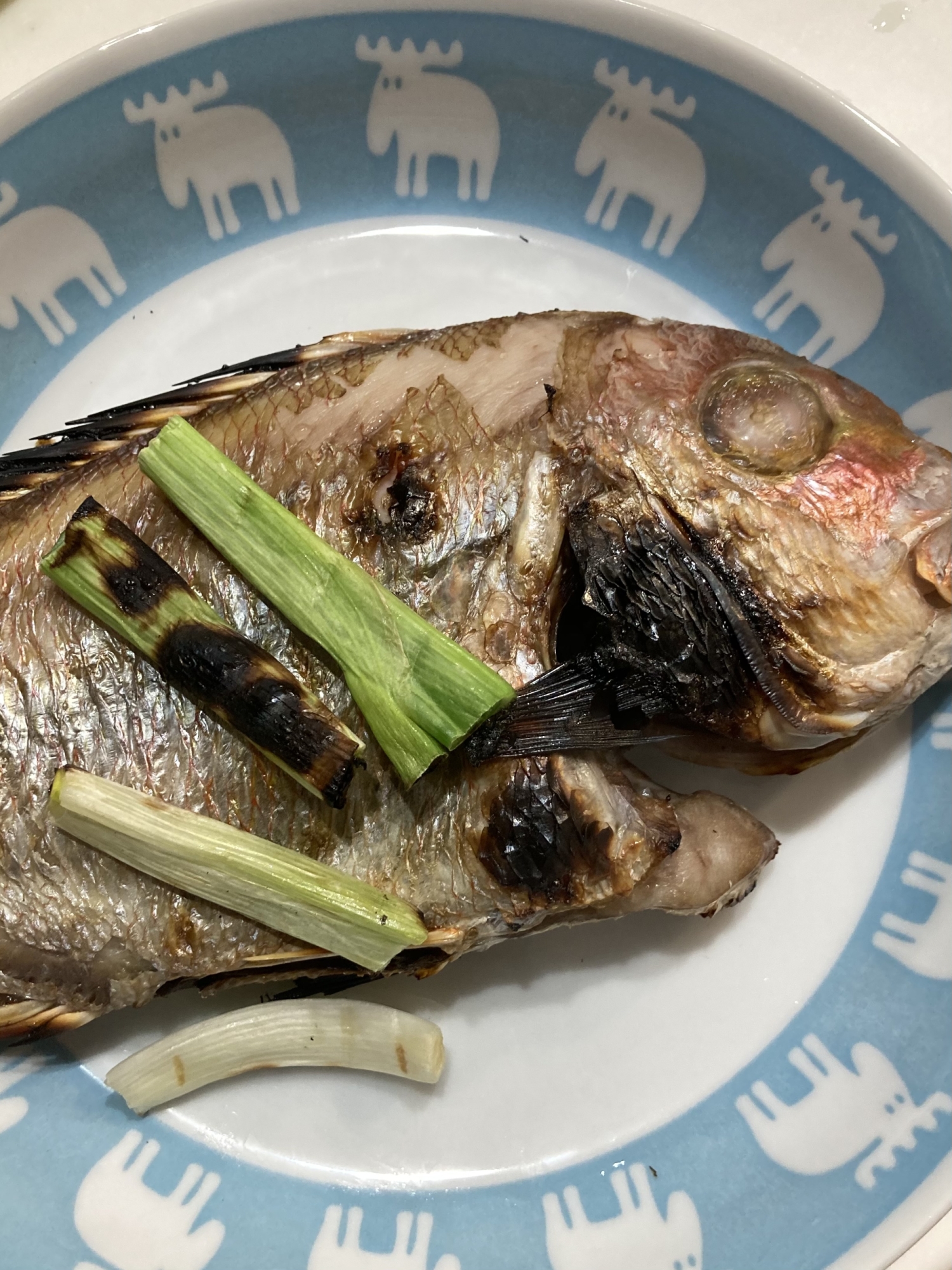 白ネギとタイの魚焼きグリルの塩焼き