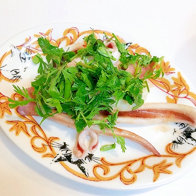 冷凍イカとパクチーの簡単おつまみ レシピ 作り方 By だだちゃまめごはん 楽天レシピ 冷凍イカとパクチーの簡単おつまみ レシピ 作り方 By だだちゃまめごはん 楽天レシピ