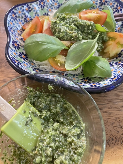 にんにくたくさんもらったので、バジルソース作りたくてバジル苗を購入し、せっせと増やしました！手作り最高！！