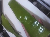 アロエヨーグルトを手作り レシピ 作り方 By Pyonta 楽天レシピ