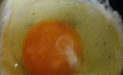 あみえびと黒すりごまの目玉焼き