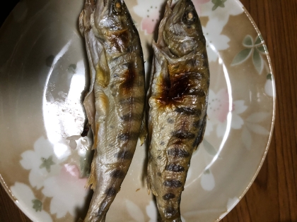 サクサク ヤマメの塩焼き レシピ 作り方 By とりあえず乾杯 楽天レシピ サクサク ヤマメの塩焼き レシピ 作り方 By とりあえず乾杯 楽天レシピ