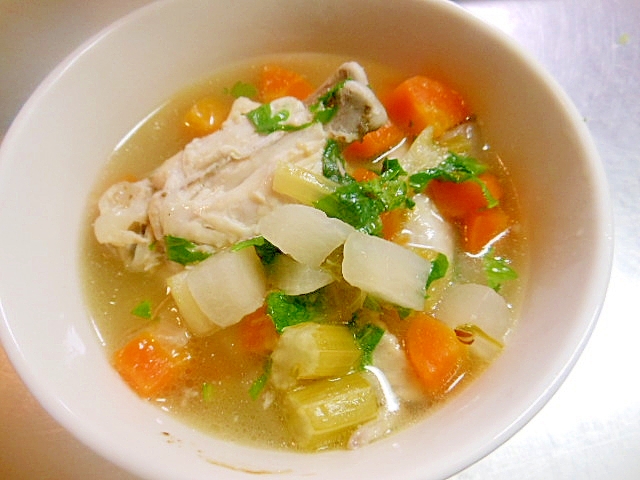 コロコロ野菜と手羽先のスープ