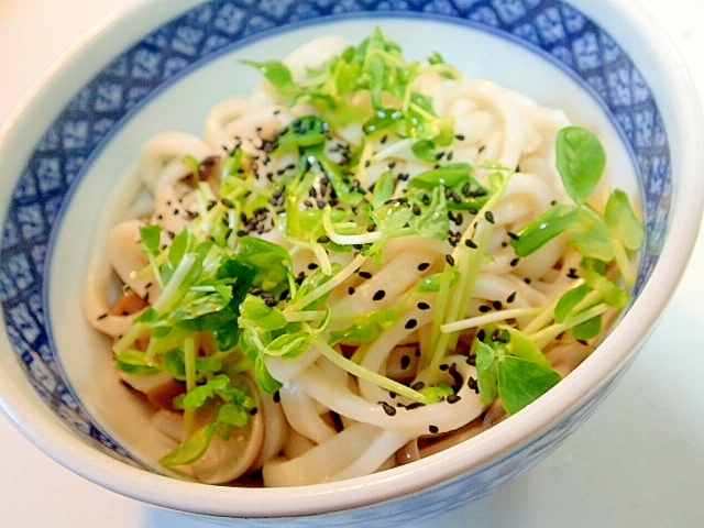 かつおつゆで　しめじと豆苗の冷やしうどん