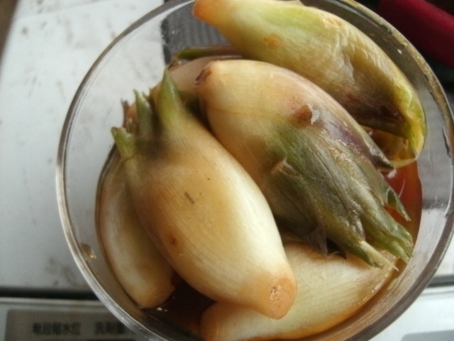 麺つゆの残りレシピ 作り方の人気順 簡単料理の楽天レシピ 麺つゆの残りレシピ 作り方の人気順 簡単料理の楽天レシピ