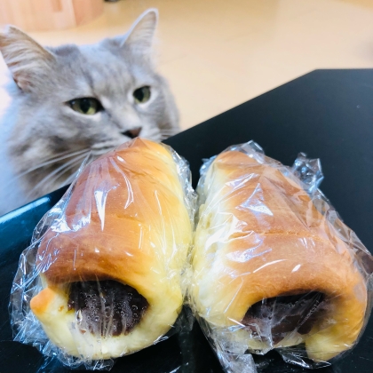 コロンと可愛い★チョココロネ