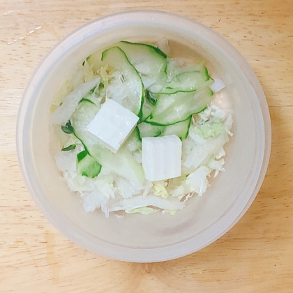 豆腐生野菜サラダ