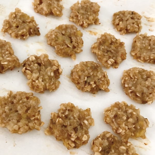 離乳食 オートミールクッキー レシピ 作り方 By ふうmama 楽天レシピ 離乳食 オートミールクッキー レシピ 作り方 By ふうmama 楽天レシピ