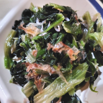 ✾ほうれん草の辛子和え✾