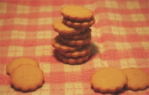 おやつインで作る簡単クッキー