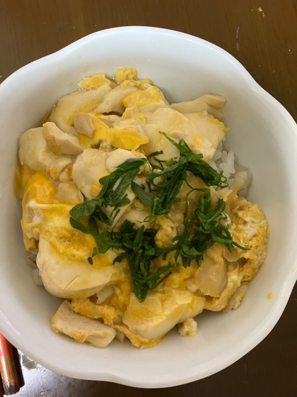 スピードレシピ☆豆腐の卵とじ丼