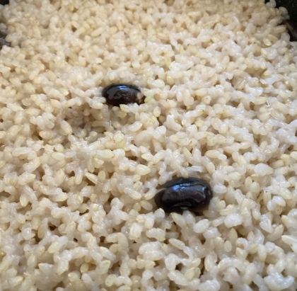 黒豆餅米ご飯お弁当