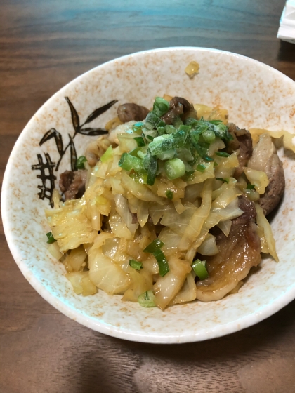 キャベツと牛肉の牛丼風