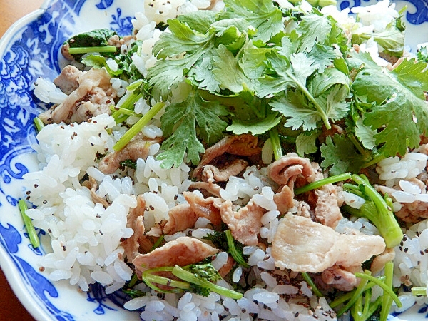 タイ料理風❤豚肉とパクチーの炒飯♪（チアシード）