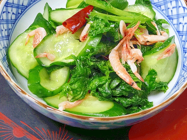 新鮮野菜は新漬で♪　「わさび菜一夜漬け」